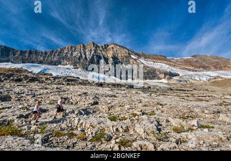 Randonneurs sur la piste Iceline en septembre, langues du glacier Emeraude sous la chaîne du président, Rocheuses canadiennes, parc national Yoho, Colombie-Britannique, Canada Banque D'Images