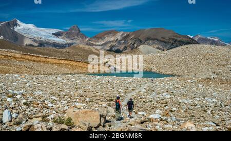 Randonneurs sur la piste Iceline, le glacier des Poilus à distance, les Rocheuses canadiennes, le parc national Yoho, Colombie-Britannique, Canada Banque D'Images