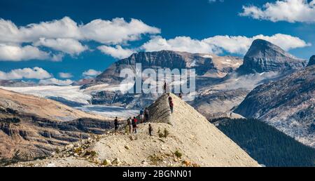 Groupe de randonneurs sur la piste Iceline, la chaîne Waputik et le champ de glace Waputik en distance, les Rocheuses canadiennes, le parc national Yoho, Colombie-Britannique, Canada Banque D'Images