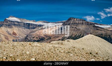 Groupe de randonneurs sur la piste Iceline, le mont Balfour à Waputik Range in distance, les Rocheuses canadiennes, le parc national Yoho, Colombie-Britannique, Canada Banque D'Images