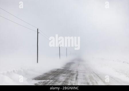 Neige qui souffle sur la neige sur la route près de Rudyard dans la partie orientale de la péninsule supérieure, Michigan, États-Unis Banque D'Images