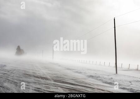 Neige qui souffle sur la neige sur la route près de Rudyard dans la partie orientale de la péninsule supérieure, Michigan, États-Unis Banque D'Images