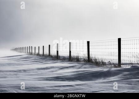 Neige qui souffle de la neige sur la fenceline et la route près de Rudyard dans la partie orientale de la péninsule supérieure, Michigan, États-Unis Banque D'Images