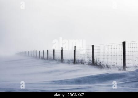 Neige qui souffle de la neige sur la fenceline et la route près de Rudyard dans la partie orientale de la péninsule supérieure, Michigan, États-Unis Banque D'Images