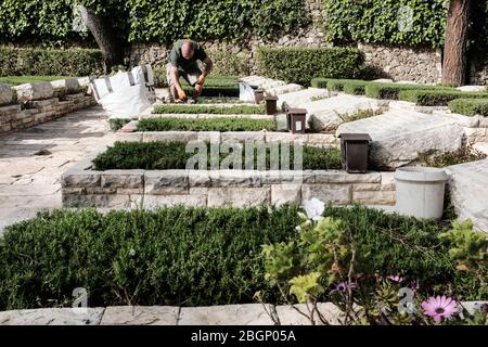 Jérusalem, Israël. 22 avril 2020. Un jardinier touche les tombes des morts au Mt. Le cimetière militaire Herzl avant la fête du Souvenir, qui sera commémoré le 28 avril 2020, comme le gouvernement annonce un verrouillage total à l'échelle nationale le jour commémoratif et le lendemain le jour de l'indépendance, annulant toutes les cérémonies et célébrations, dans le but de freiner la propagation de la COVID-19. Crédit: NIR Alon/Alay Live News Banque D'Images
