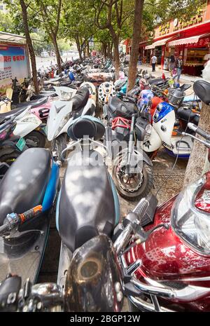 Kunming, Chine - 20 septembre 2017 : scooters stationnés à l'ombre des arbres dans le centre-ville de Kunming. Banque D'Images