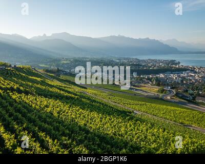 Vue aérienne sur les vignobles près de Vevey au lac de Genève, Suisse Banque D'Images