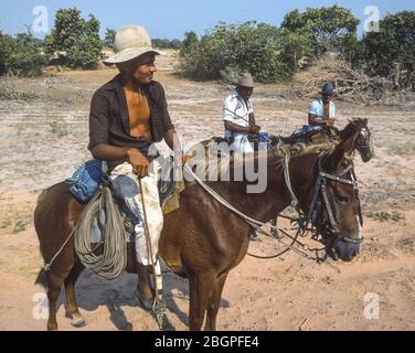 ETAT D'APURE, VENEZUELA - cow-boys de plaines à cheval sur les lanos (plaines) dans le sud-ouest du Venezuela, 1988. Banque D'Images