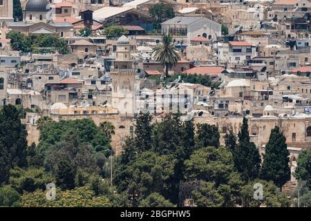 Israël, Jérusalem, Mont d'Ovives, le minaret de Bab al-Silsila est l'un des quatre minarets du Mont du Temple ou al-Haram ash-Sharif et ses murs sont un site classé au patrimoine mondial de l'UNESCO. Les arbres sur le mont al-Haram ash-Sharif ou Temple sont au premier plan. Banque D'Images