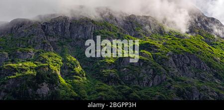 Paysage panoramique d'un sommet de montagne couvert de verdure dans la brume près du glacier de l'ours, du parc national Kenai Fjords, Alaska, États-Unis. Banque D'Images