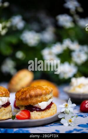 Scones maison fraîchement cuits avec confiture de strawbery et crème épaisse Banque D'Images