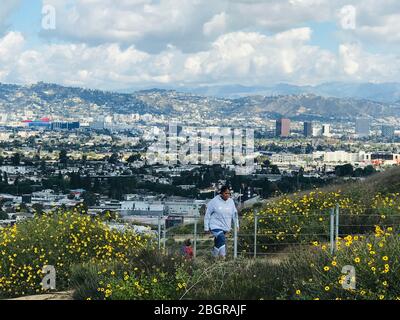Les gens qui font des randonnées sur le sentier avec des fleurs dans les collines Baldwin au-dessus de la ville de Culver et du bassin de Los Angeles, une journée claire. Banque D'Images