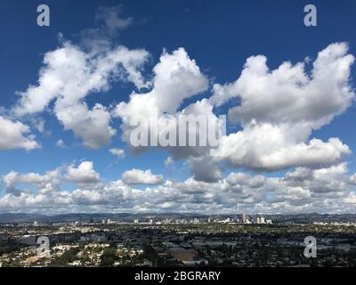 Vue sur le bassin de Culver City, Century City et Westwood depuis Baldwin Hills Scenic, surplombant le parc d'une journée claire. Banque D'Images