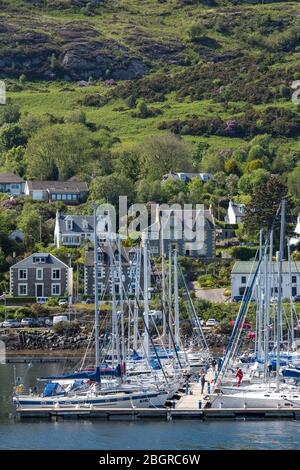 Bateaux à voile - yachts et bateaux de plaisance amarrés à Tarbert Marina dans le Port, Argyll et Bute, Ecosse Banque D'Images