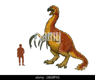 Dinosaure herbivore - Therizinosaurus. Comparaison entre le dinosaure et l'homme. Banque D'Images