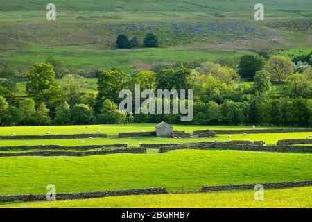 Homestead dans un paysage pittoresque dans le parc national de Northumberland près de Walltown Crags, Angleterre Banque D'Images