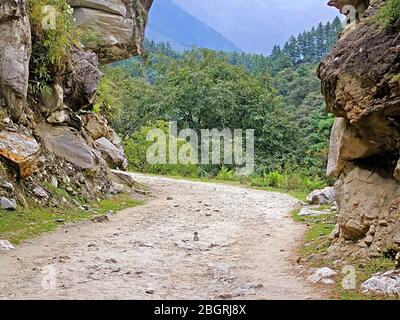 Chemin rural et des plantes vertes dans les montagnes avec ciel nuageux au Népal, Annapurna trekking Banque D'Images