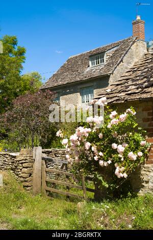 Pittoresque cottage traditionnel dans le village rural de Kelmscott dans les Cotswolds, West Oxfordshire, Royaume-Uni Banque D'Images