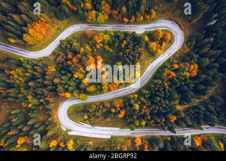 Panneaux massifs route dans la forêt. L'image aérienne d'une route. Forrest pattern. Scenic Route sinueuse vu à partir d'un drone en automne. Vue d'en haut de l'antenne de zig Banque D'Images