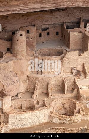 CO00225-00...COLORADO - les habitations de falaises du peuple ancestral Pueblo appelé Cliff Palace dans Cliff Canyon, Mesa Verde National Park. Banque D'Images