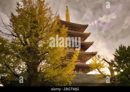 Le temple Sensoji, également connu sous le nom de temple Asakusa Kannon, est un temple bouddhiste situé à Asakusa, Tokyo, Japon. C'est l'un des temples les plus colorés et les plus populaires Banque D'Images