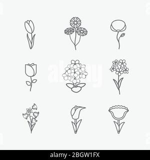 Icônes fleurs. Fleurs vectorielles fines lignes noires sur fond blanc Illustration de Vecteur