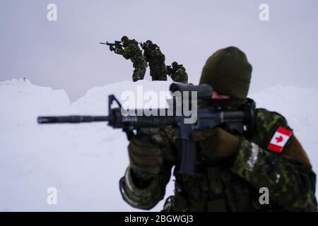 SAGUENAY, CANADA - JANVIER 16 : un groupe de soldats dans la neige lors d'un exercice militaire franco-canadien, Québec, Saguenay, Canada, le 16 janvier 201 Banque D'Images