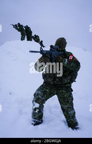 SAGUENAY, CANADA - JANVIER 16 : un groupe de soldats dans la neige lors d'un exercice militaire franco-canadien, Québec, Saguenay, Canada, le 16 janvier 201 Banque D'Images