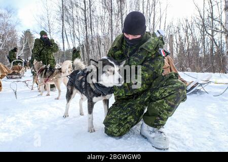 SAGUENAY, CANADA - JANVIER 15 : un groupe de soldats avec des chiens de traîneau lors d'un exercice militaire franco-canadien, Québec, Saguenay, Canada, le 15 janvier Banque D'Images