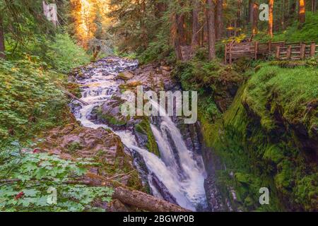 Vue sur les chutes de sol Duc en automne. Parc national olympique. Montagnes olympiques. Forêt nationale olympique. Washington. ÉTATS-UNIS Banque D'Images