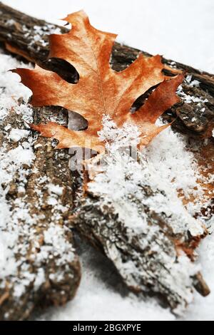 Pile de barques d'arbres avec feuilles d'automne dans la neige Banque D'Images