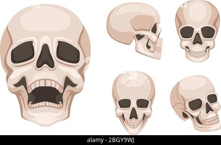Crâne humain de différents côtés. Images vectorielles monochromes. Tête de squelette de crâne, illustration craie et créepie de mort Illustration de Vecteur