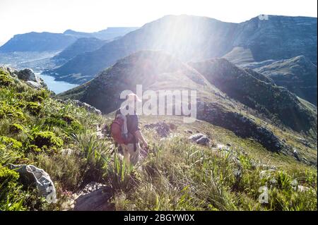 Le Cap, le Cap occidental, l'Afrique du Sud est un rêve de randonneur et d'outdoorsman avec accès aux sentiers à travers les fynbos dans le parc national de Table Mountain. Banque D'Images