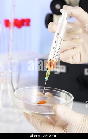 Assistant mains dans des gants pour faire des analyses en laboratoire avec microscope et fond flou Banque D'Images