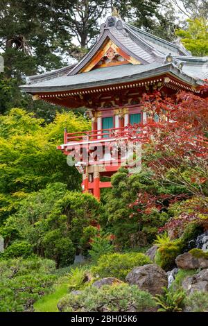 Gros plan d'une pagode en bois rouge, entourée d'une végétation verte et d'un érable Banque D'Images