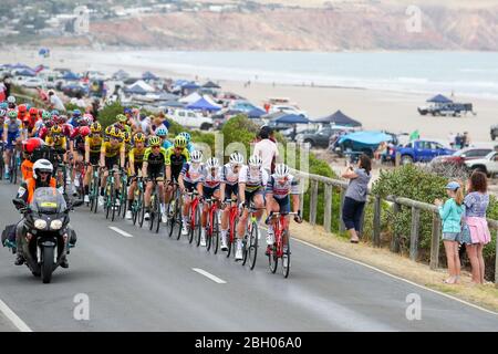 ADÉLAÏDE, AUSTRALIE MÉRIDIONALE - 26 JANVIER 2020 : Team et Trek-Segafredo mènent le peleton à Aldinga Beach à l'étape 6 de McLaren Vale à Willunga Hill Banque D'Images