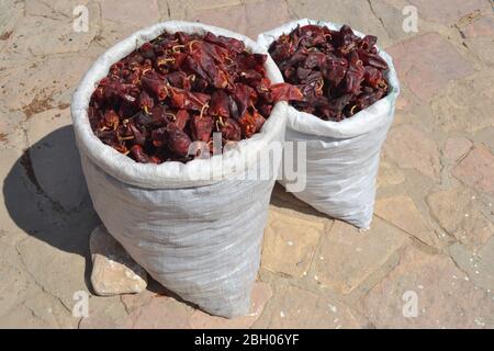 Harissa - piments en Tunisie, Afrique Banque D'Images