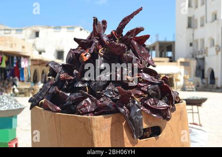 Harissa - piments en Tunisie, Afrique Banque D'Images