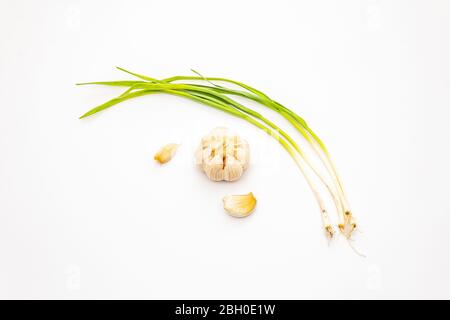 Légumes verts, tête et gousses d'ail frais isolés sur fond blanc. Ingrédient traditionnel pour la cuisine Banque D'Images