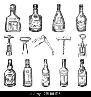 Illustrations de corkvet de bouteilles de vin différentes. Alcool tequila et rhum, absinthe et baileys, cognac et whisky vectoriel Illustration de Vecteur