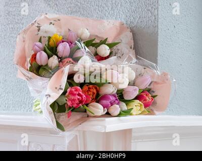 Vue rapprochée sur deux bouquets de tulipes fleuris, ils se trouvent sur un mantelpiece blanc avec un mur vert. Banque D'Images