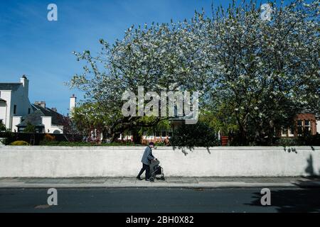 Un homme âgé marche seul avec son cadre de marche, le long d'une rue, pendant le verrouillage du virus Corona. Ayr, Écosse, Royaume-Uni. Banque D'Images