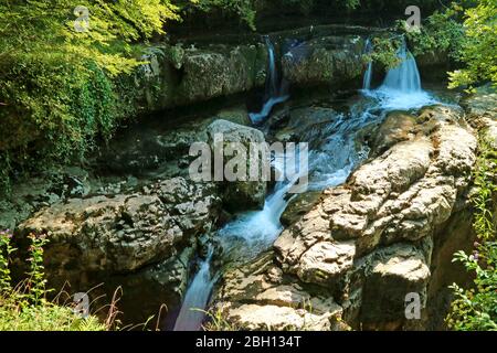 Cascades et ruisseau dans le canyon Martvili, parc national près de Kutaisi, région de Megrelia, Géorgie Banque D'Images