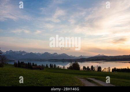 le lac "forggensee" est un réservoir situé dans le sud de l'allemagne. Vue panoramique sur le coucher du soleil avec les alpes en arrière-plan Banque D'Images