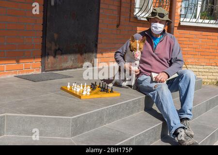 Homme senior caucasien avec chien basenji homme portant des masques assis sur un seuil, lecture de livre et jouer aux échecs tout en étant sur Coronavirus COVID-19 q Banque D'Images