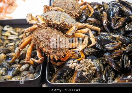 Mussles et crabes sur une stand au marché de la pêche dans une salle de marché, Espagne, Andalousie, Cadix Banque D'Images