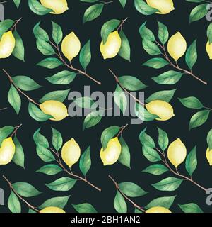 Motif citron sur fond sombre peint par aquarelle Banque D'Images