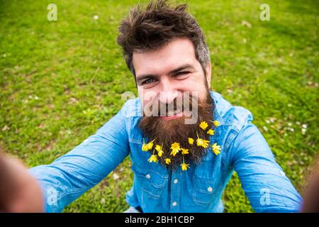 Hipster sur le visage heureux prenant la photo selfie. L'homme avec barbe aime le printemps, le fond vert de pré, démoqué. Concept de beauté naturelle. Guy avec des fleurs de celandine moindre dans la barbe prenant la photo de selfie Banque D'Images