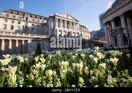 Londres, Royaume-Uni. 23 avril 2020. Assortiment de fleurs de printemps tôt ce matin en face de la Banque d'Angleterre et de la Royal Exchange dans la ville de Londres, car les mesures de maintien doivent être assouplies dans les trois à quatre prochaines semaines au milieu du coronavirus pour que l'économie puisse se rétablir. City of London LockDown, Angleterre, Royaume-Uni 23 avril 2020 crédit: Jeff Gilbert/Alay Live News Banque D'Images