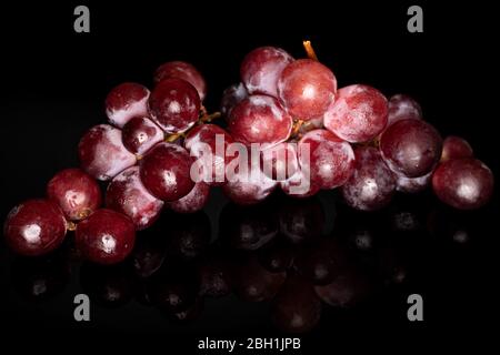 Lot de raisins de globe rouges frais entiers deux petits pains isolés sur verre noir Banque D'Images